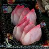 Sashimi Tray - Salmon, Kingfish or Tuna - Image 4