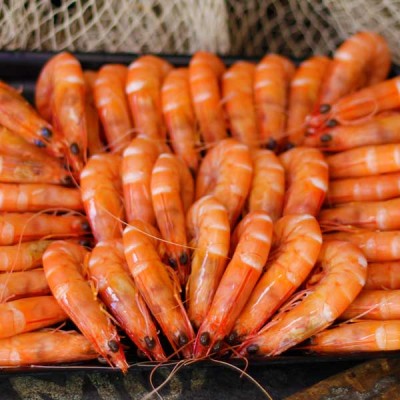 Small King Prawns Cooked 1kg