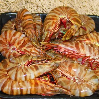 Large Tiger Prawn Raw 500g