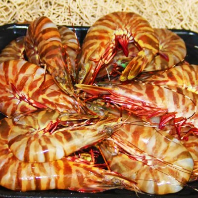 Large Tiger Prawn 500g