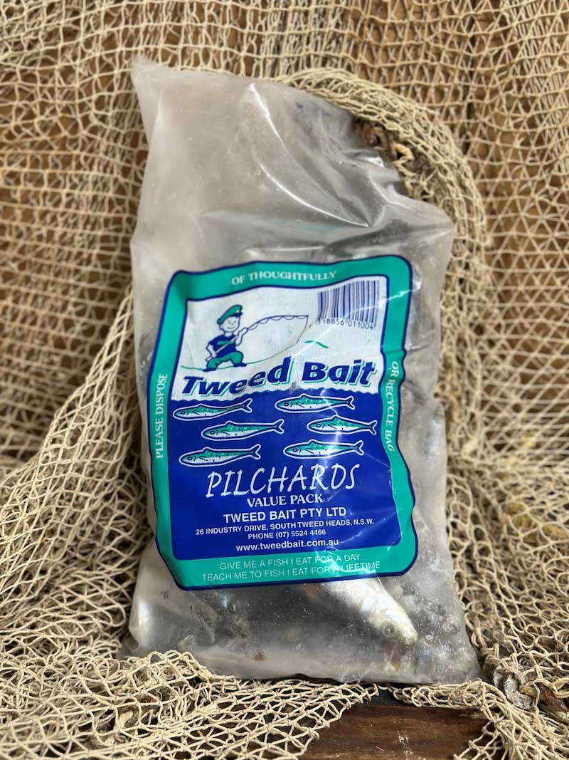 Bait – Pilchards - FISHI