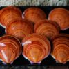 QLD Saucer Scallop Whole 200g
