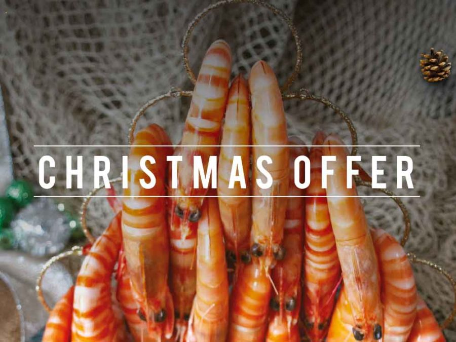 FISHI CHRISTMAS OFFER