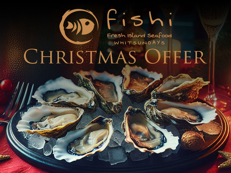 FISHI’s 2024 Christmas Specials Are Here!